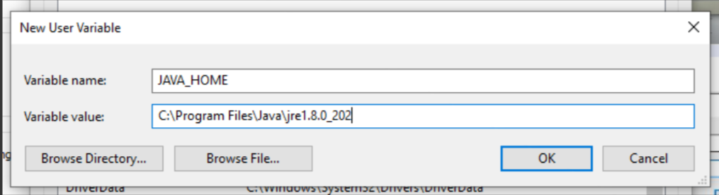 Environment Variable